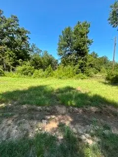 TBD County Road 488, Normangee, TX 77871 - #2