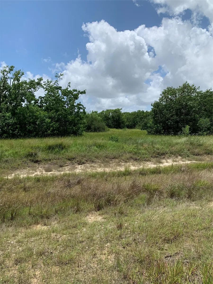 Lot 64 Falcon Way, Palacios, TX 77465 - #3