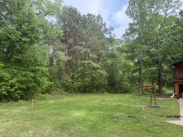 Lot 34 Gov Latham Circle, Point Blank, TX 77364 - #3
