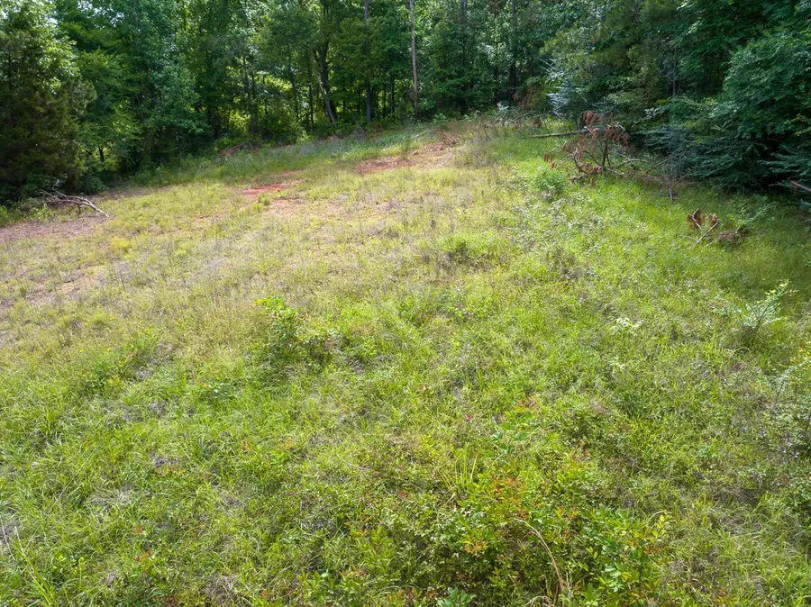 1 County Road 364 South, Henderson, TX 75654 - #3