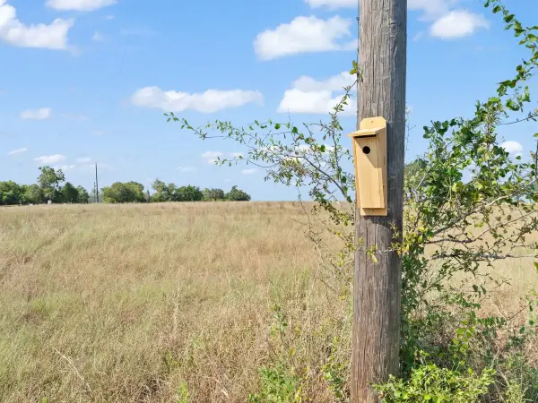 3055 Fm 956, Schulenburg, TX 78956