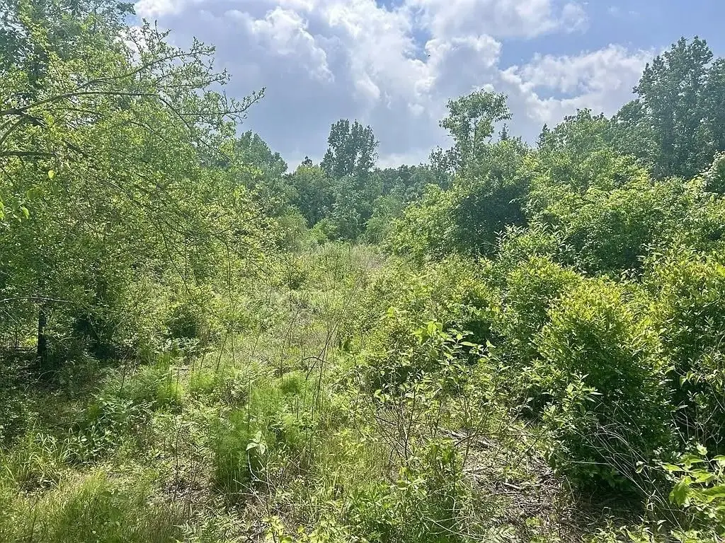 Lot 13 County Road 175, Nacogdoches, TX 75946 - #1