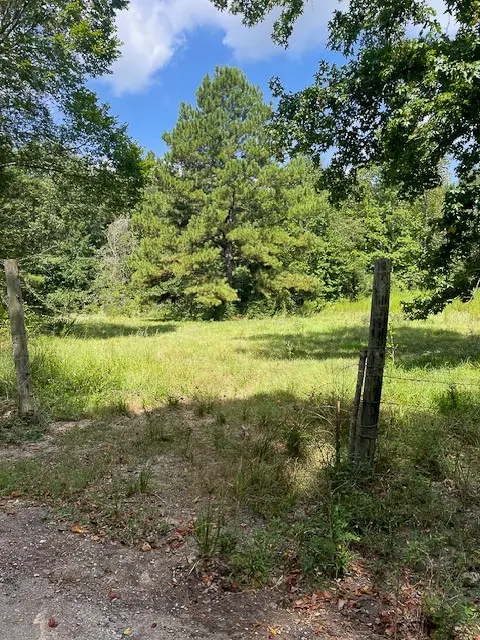 1 Jenkins Road North, Oakhurst, TX 77359 - #3