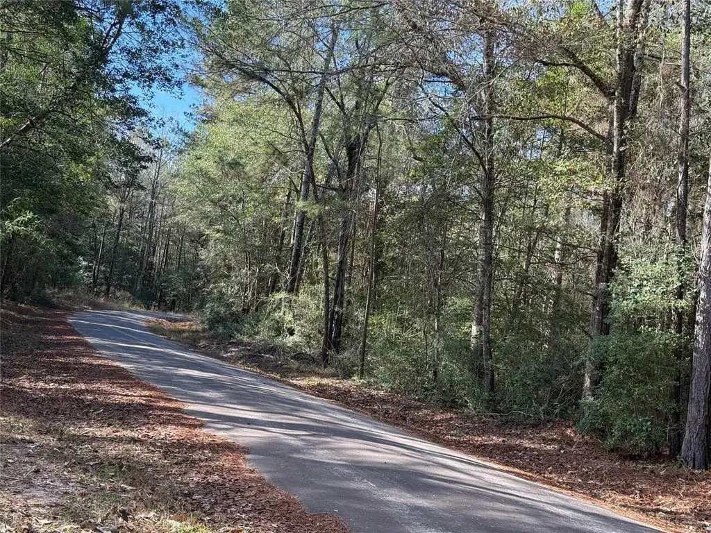 Lot 3 John Keely Road, Zavalla, TX 75980 - #1