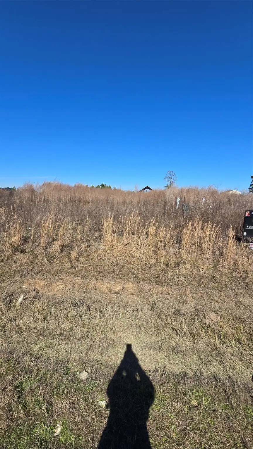 1269 Road 5727, Cleveland, TX 77327 - #1