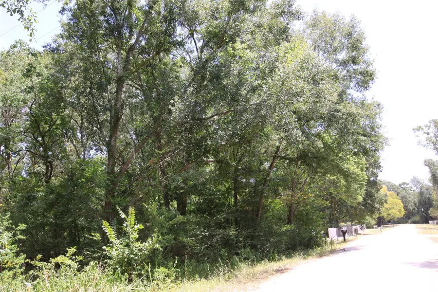 tbd Dove Creek Drive, Coldspring, TX 77331 - #2