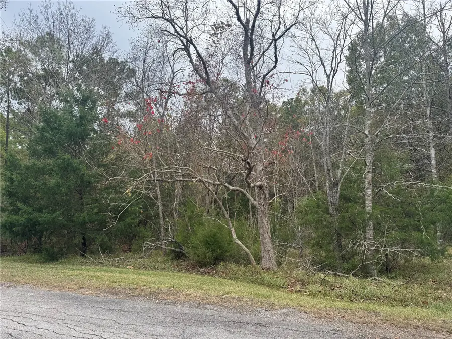 22 S Forest Cove Loop, Coldspring, TX 77331 - Image #2