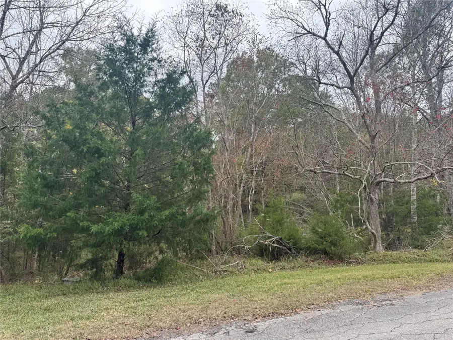 22 S Forest Cove Loop, Coldspring, TX 77331 - Image #3
