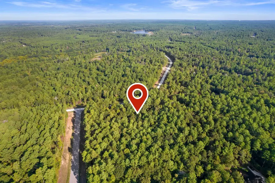244 Remington Road, Huntsville, TX 77340 - #3