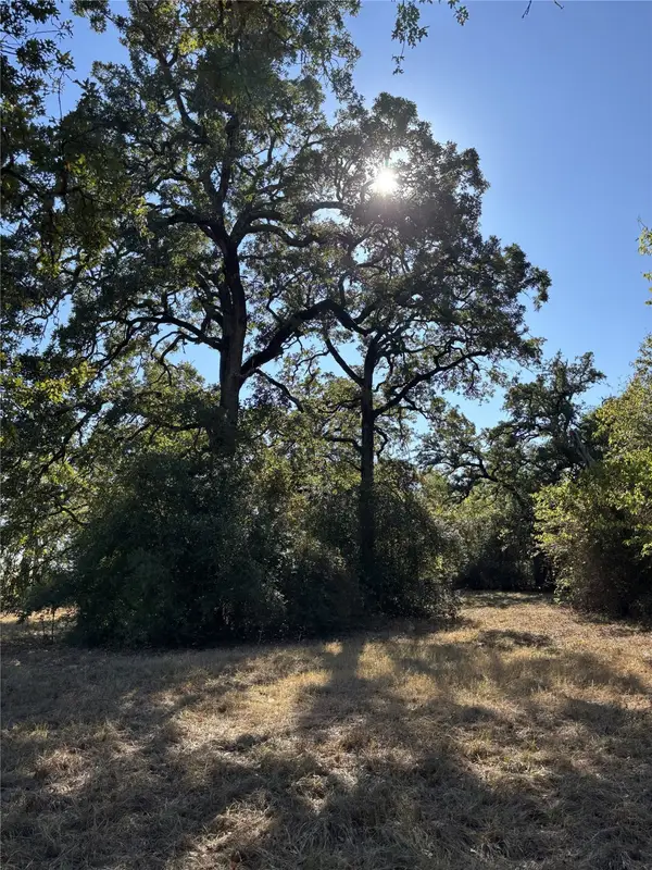 TBD Cr 163, Caldwell, TX 77836