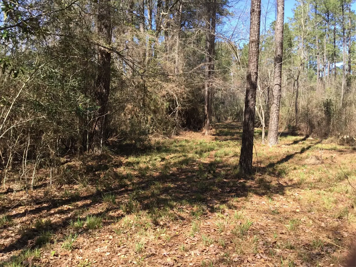 0000 Buffalo Lane, Silsbee, TX 77656 - #1