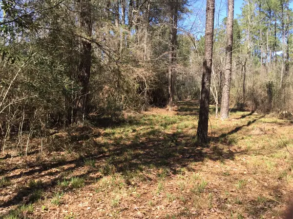 0000 Buffalo Lane, Silsbee, TX 77656
