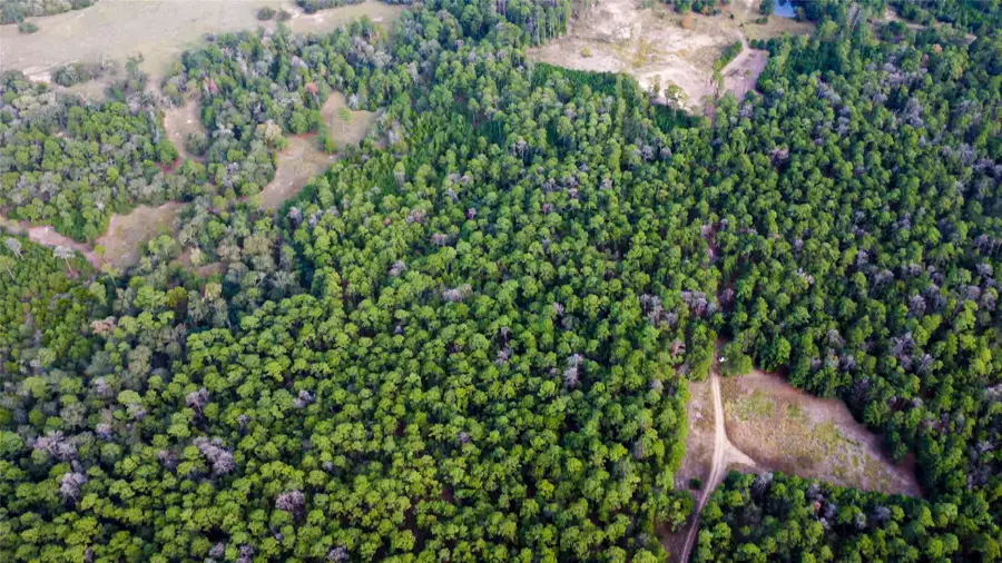 1630 Piney Creek Road, La Grange, TX 78945 - #3