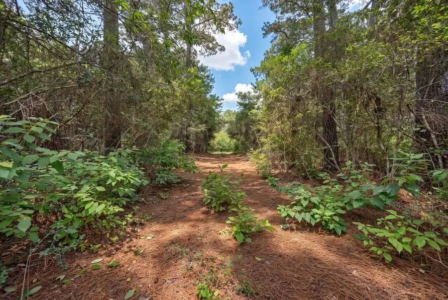 3340 County Road 325, Navasota, TX 77868 - #3