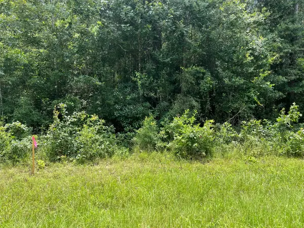 25416 Cambridge Boulevard, New Caney, TX 77357