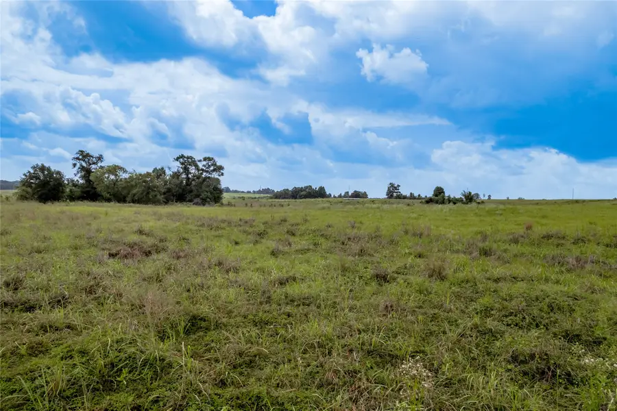 51 Northview Trail, Crockett, TX 75835 - #3