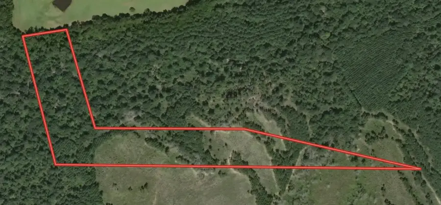 Tract 12A F M 230, Lovelady, TX 77854 - Image #2