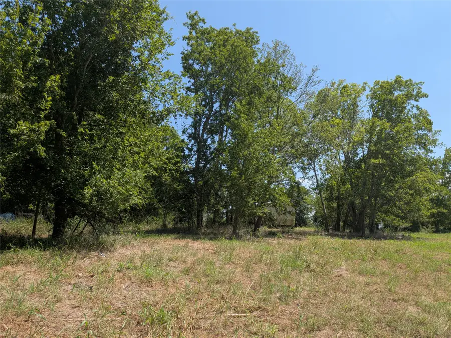 18320 Sweed Road, Washington, TX 77880 - #2