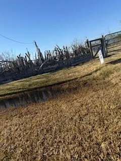 1819 Anderson Avenue, Port Bolivar, TX 77650 - #2