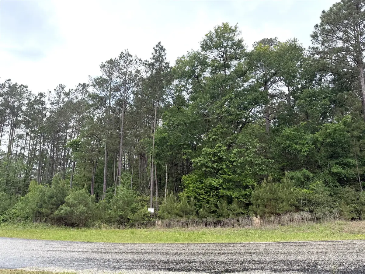 8-11-4b Sundog Road, Huntsville, TX 77340 - #1