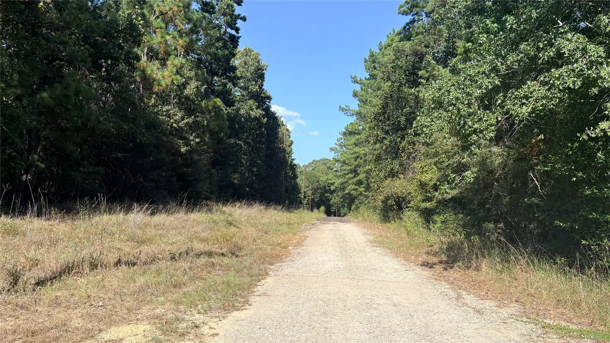 Lot 28 & 29 25th Street, Ivanhoe, TX 75979 - #1
