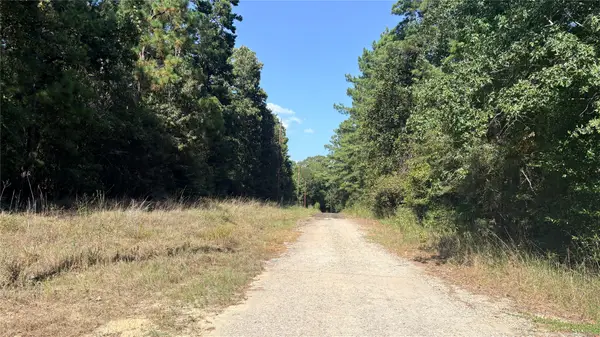 Lot 28 & 29 25th Street, Ivanhoe, TX 75979