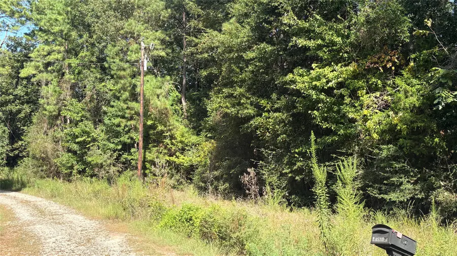 Lot 28 & 29 25th Street, Ivanhoe, TX 75979 - #2