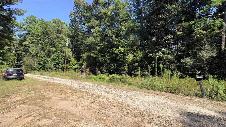 Lot 28 & 29 25th Street, Ivanhoe, TX 75979 - #3