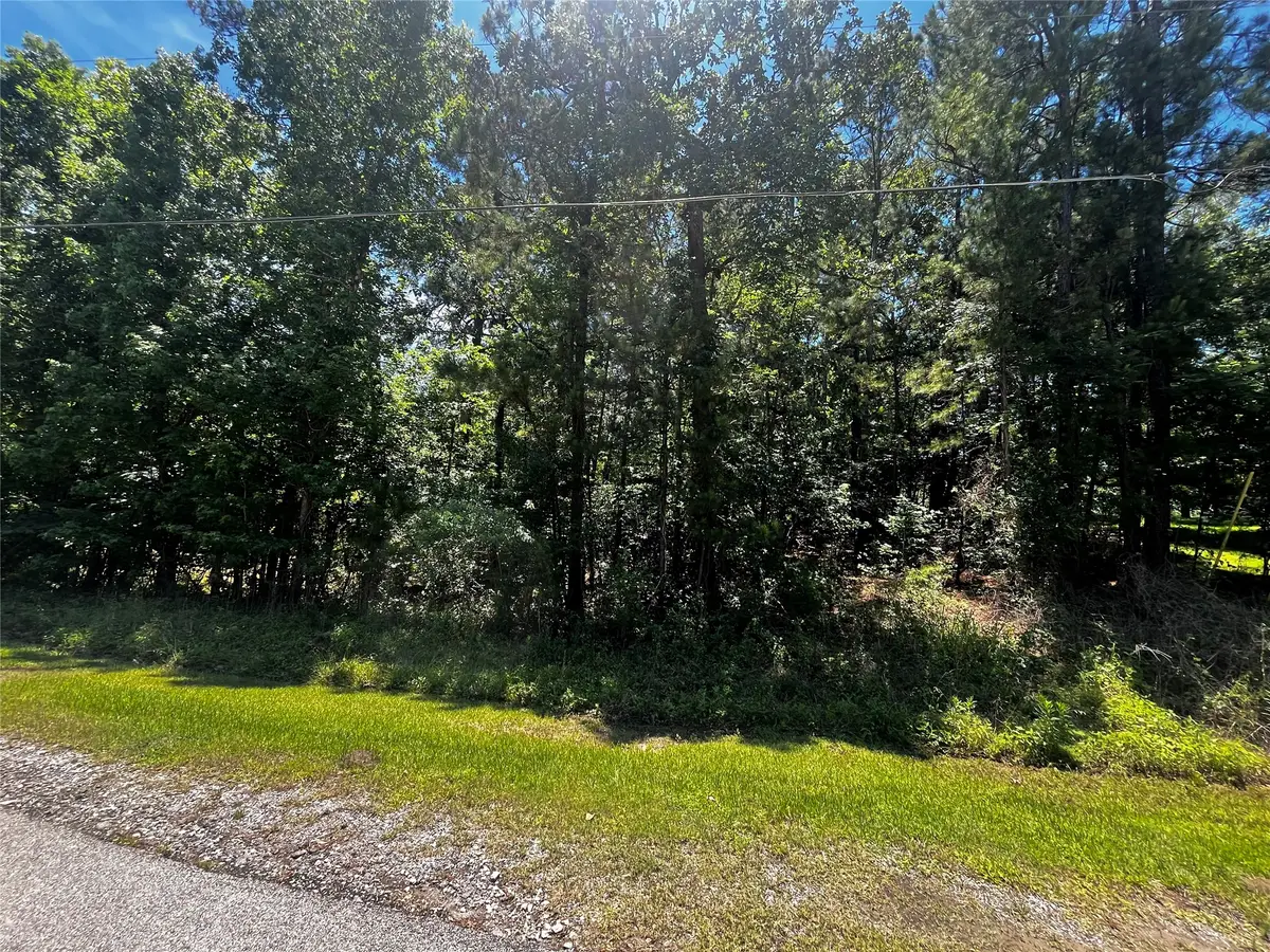 0 Hickory Ridge Drive, Coldspring, TX 77331 - #1