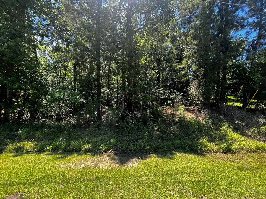 0 Hickory Ridge Drive, Coldspring, TX 77331 - #2