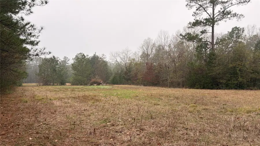 6131 Fm-1374, New Waverly, TX 77358 - Image #2