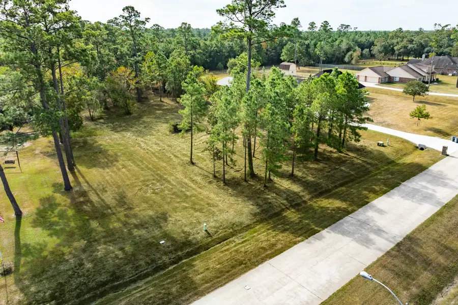 7203 Bayou Timbers Drive, Alvin, TX 77511 - #2