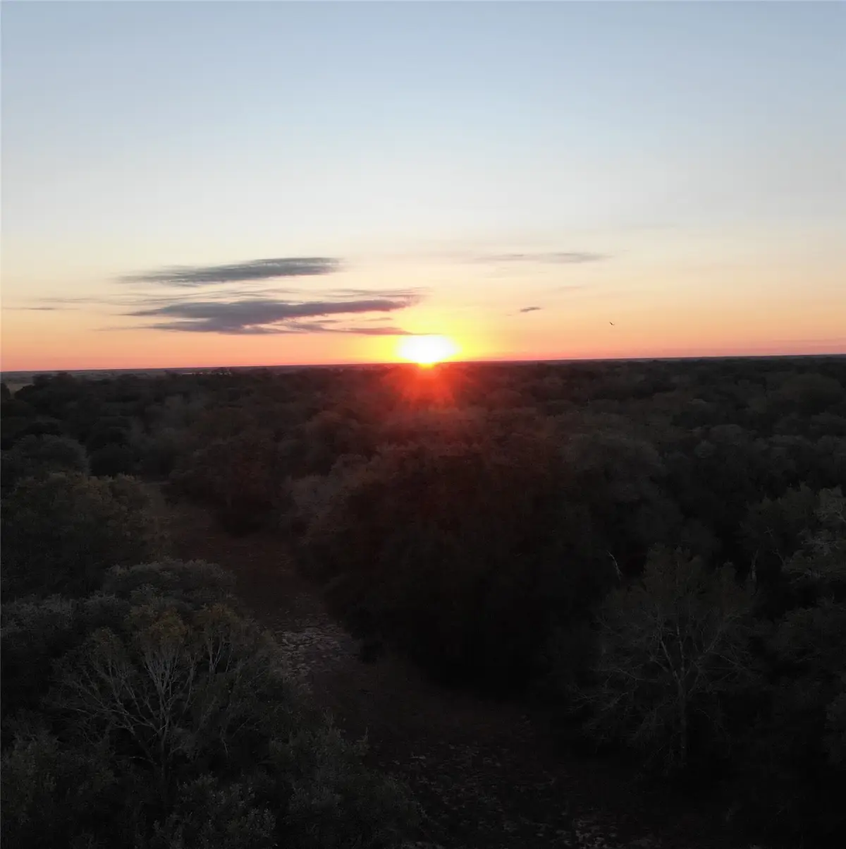 TBD Sandy Creek Drive, Garwood, TX 77442 - Image #1