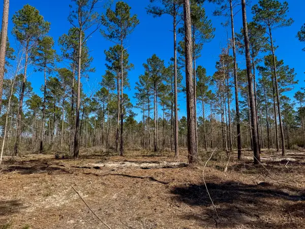 02 Boontown Road, Trinity, TX 75845