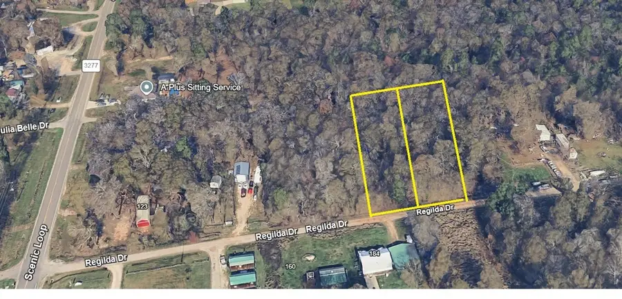 219 E Regilda Drive, Livingston, TX 77351 - #2