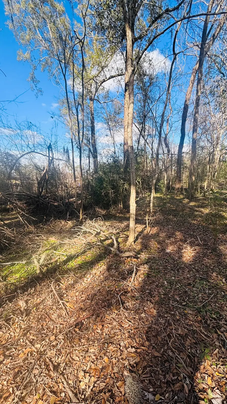 LOT 638 Marshall Avenue, Holiday Lakes, TX 77515 - #2