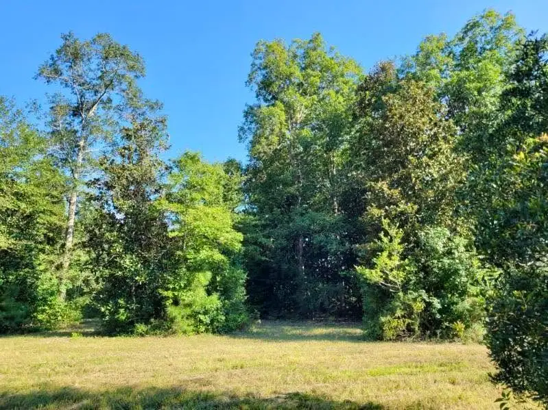 TBD Fm 1013, Hillister, TX 77624 - #3