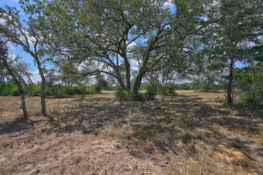 TBD Wigeon Lane, Columbus, TX 78934 - #1