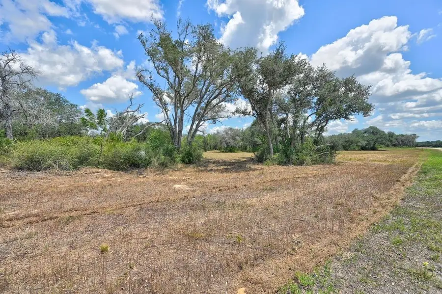 TBD Wigeon Lane, Columbus, TX 78934 - #3