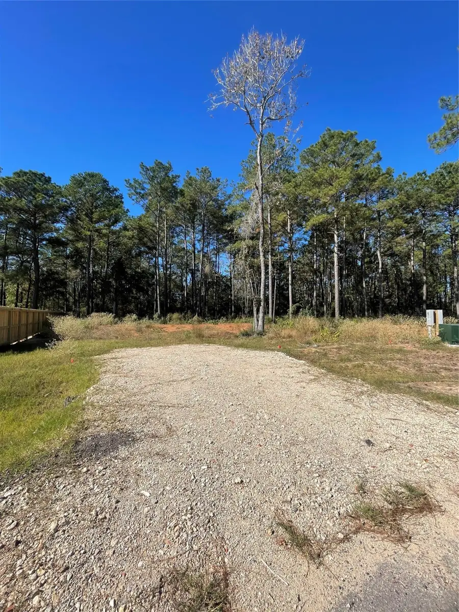 11303 Annie Creek Drive, Willis, TX 77378 - #2