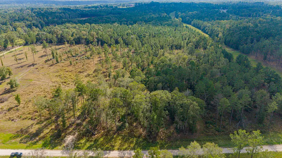 922 Rolling Pines Drive, Livingston, TX 77351 - #3