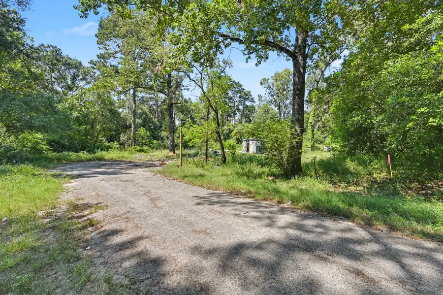 25589 Peach Creek Drive, New Caney, TX 77357 - #3