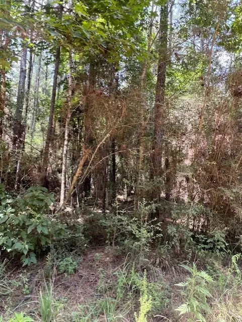000 Camp Seale Rd, Livingston, TX 77351