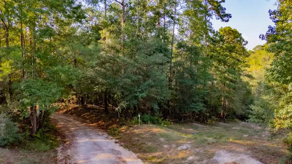 TBD E Slumberlane Drive, Livingston, TX 77351