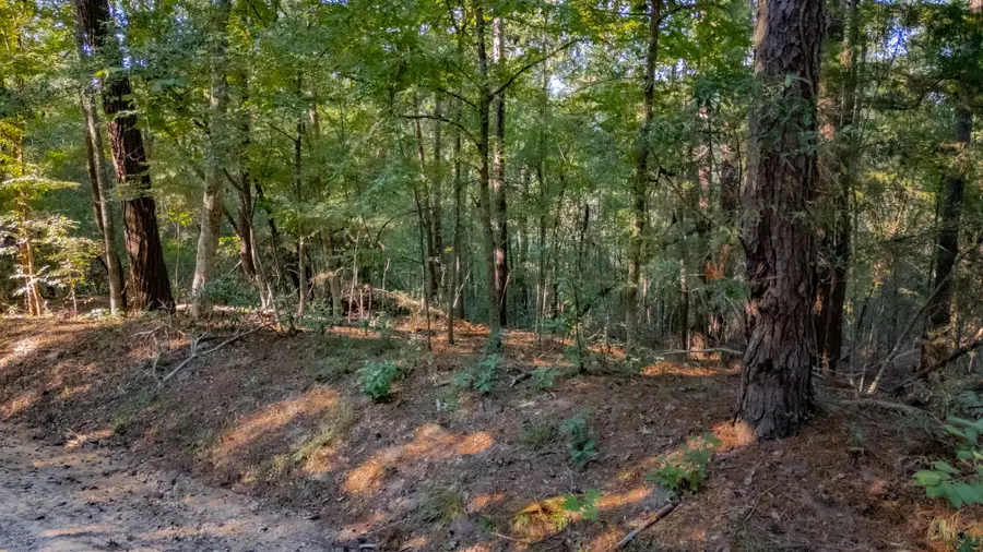TBD E Slumberlane Drive, Livingston, TX 77351 - #2