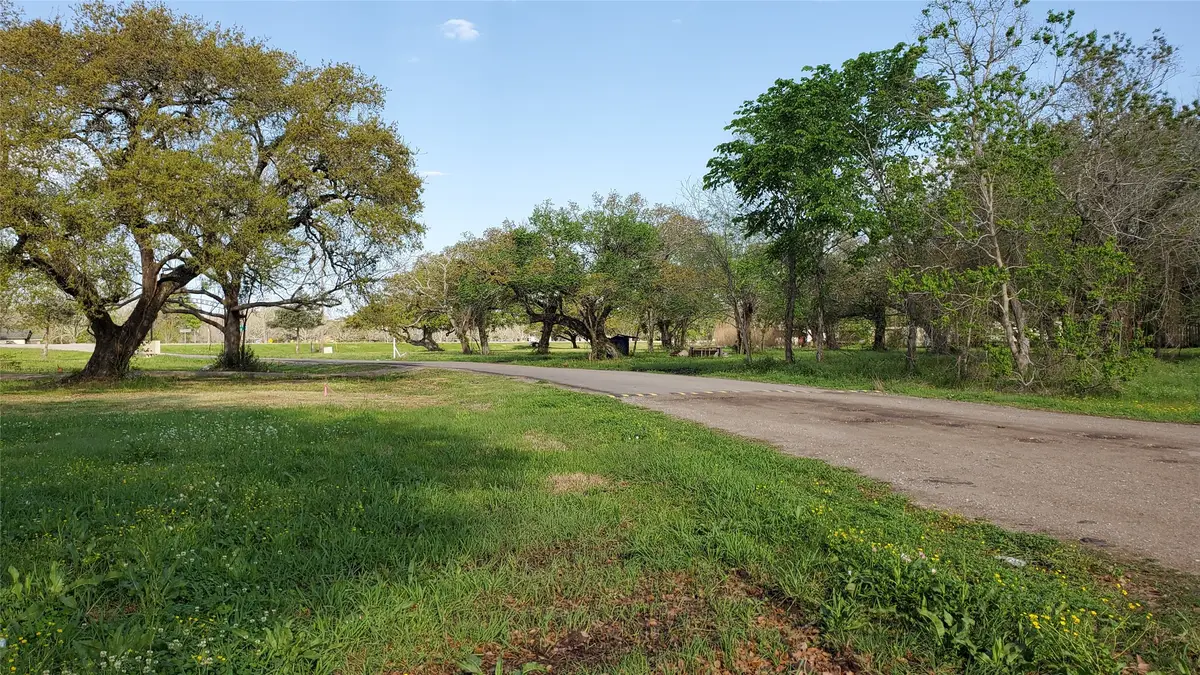 108 Country Oaks Street, Brazoria, TX 77422 - #1