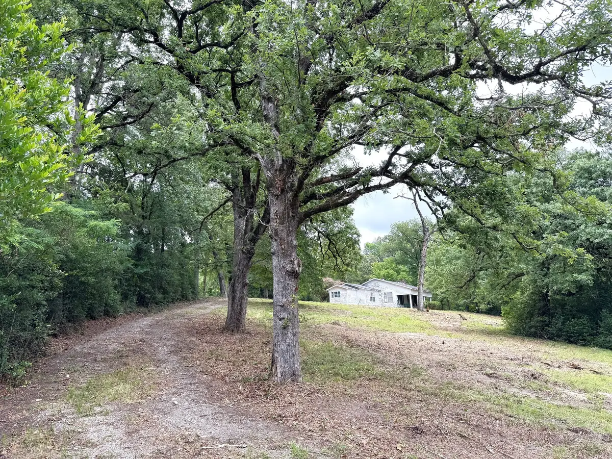704 E Elder Street, Colmesneil, TX 75938 - #1