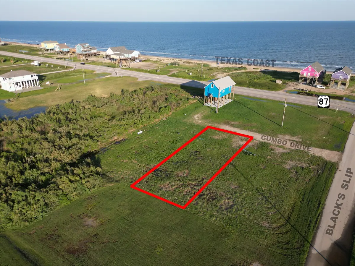 2310 Gumbo Drive, Gilchrist, TX 77617 - #1