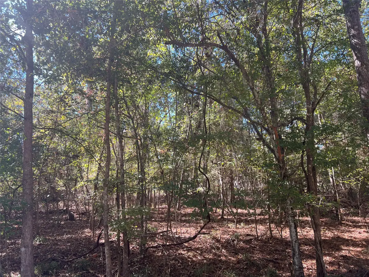 Lot 100 Rio Vista, Livingston, TX 77351 - #1