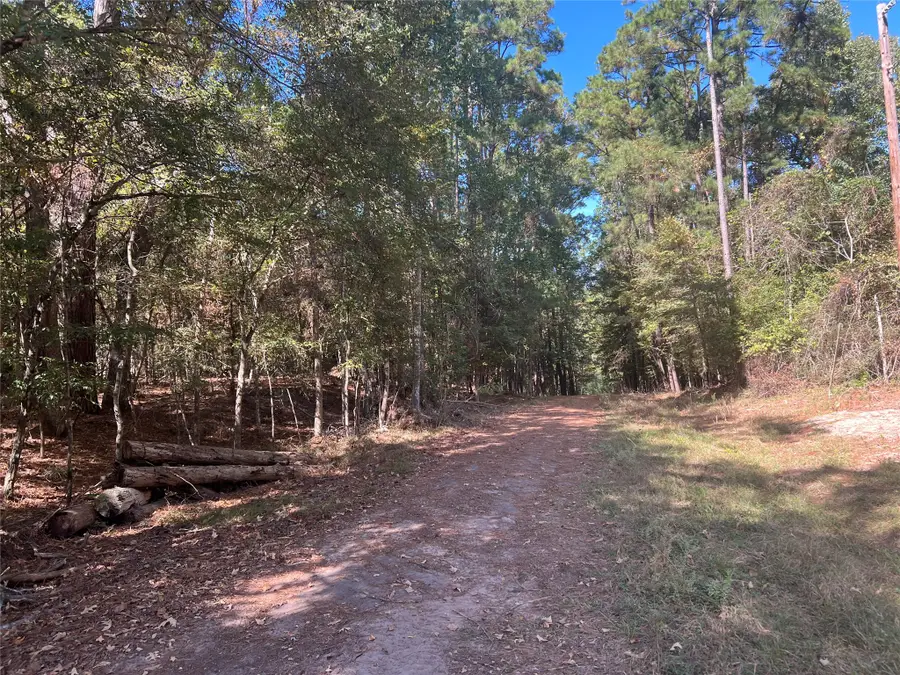 Lot 100 Rio Vista, Livingston, TX 77351 - #2